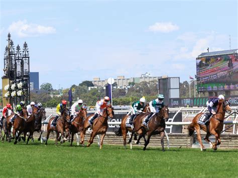 favorites for melbourne cup 2023|Melbourne Cup 2023 fave revealed .